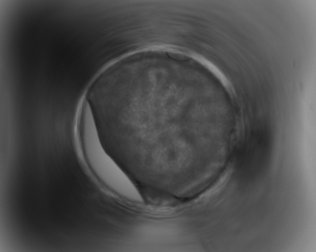 X0000087621007200705181309
