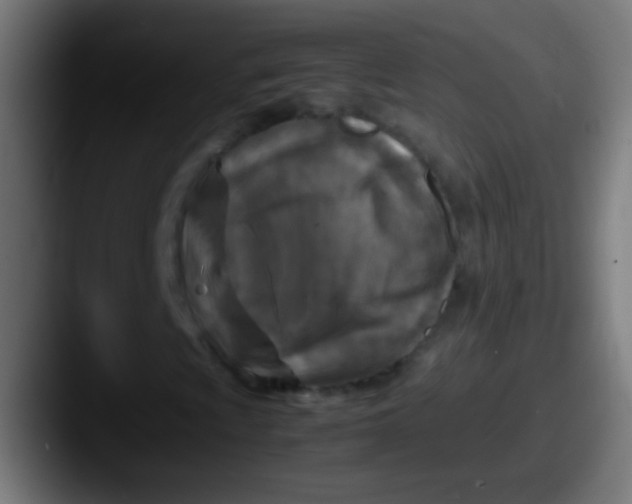X0000087621009200705181309