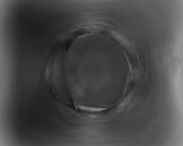 X0000087621010200705181309