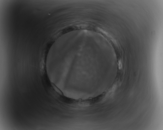 X0000087621011200705181309