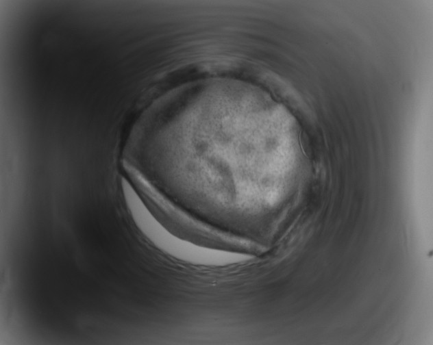 X0000087621012200705181309