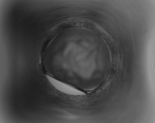 X0000087621013200705181309