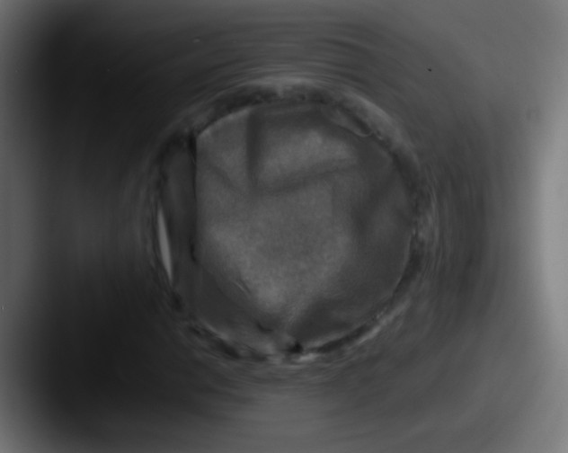 X0000087621014200705181309