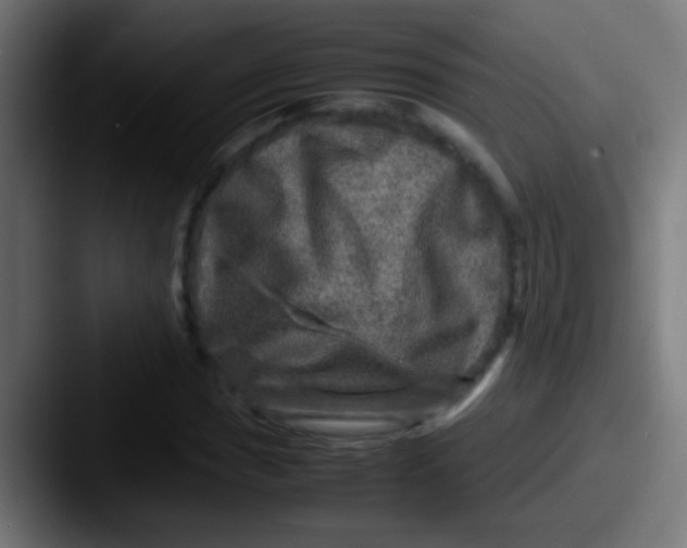 X0000087621017200705181309