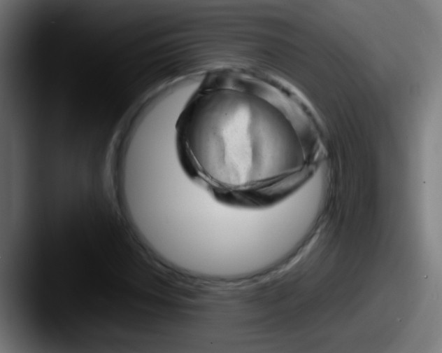 X0000087621018200705181309