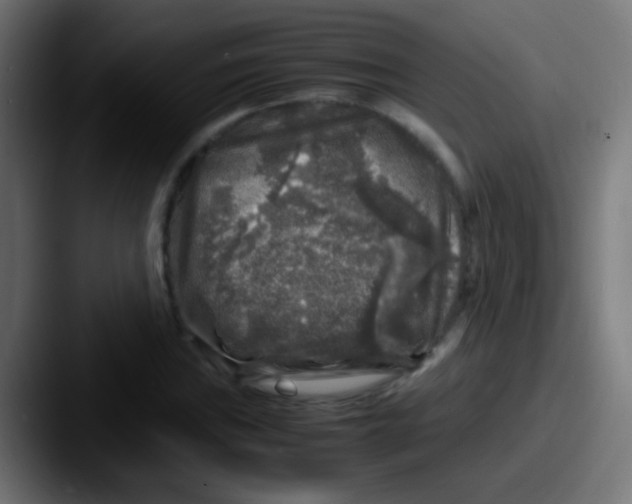 X0000087621019200705181309