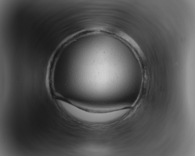 X0000087621020200705181309