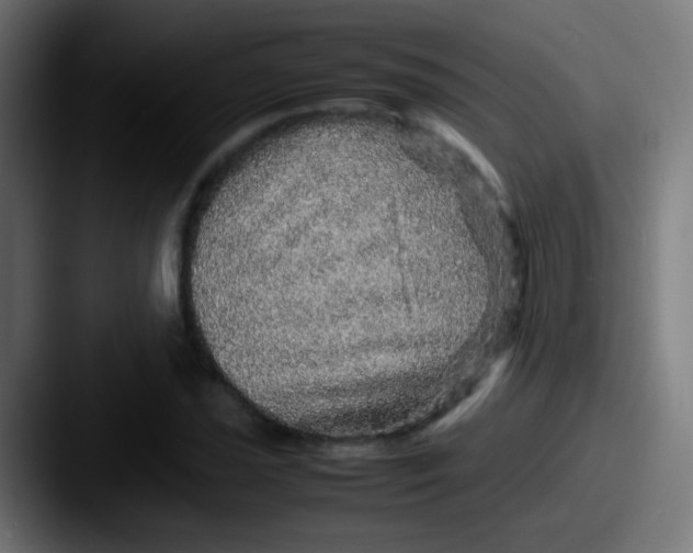 X0000087621021200705181309