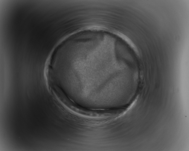 X0000087621022200705181309