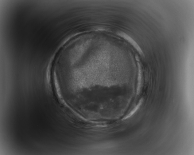 X0000087621023200705181309