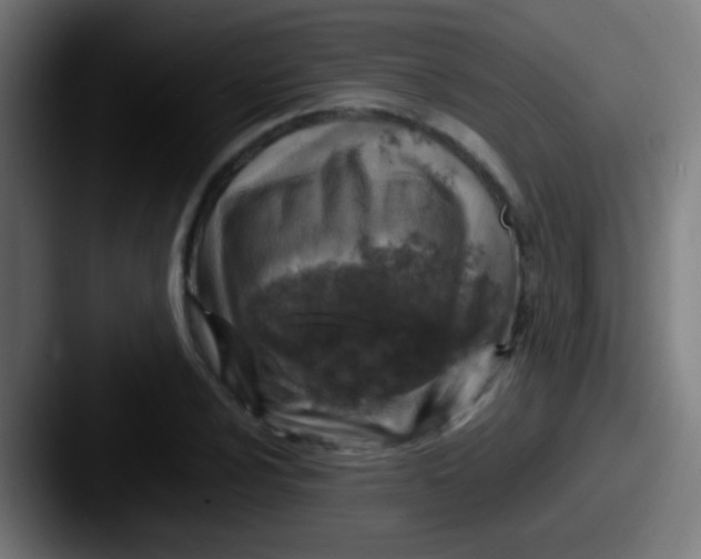 X0000087621024200705181309