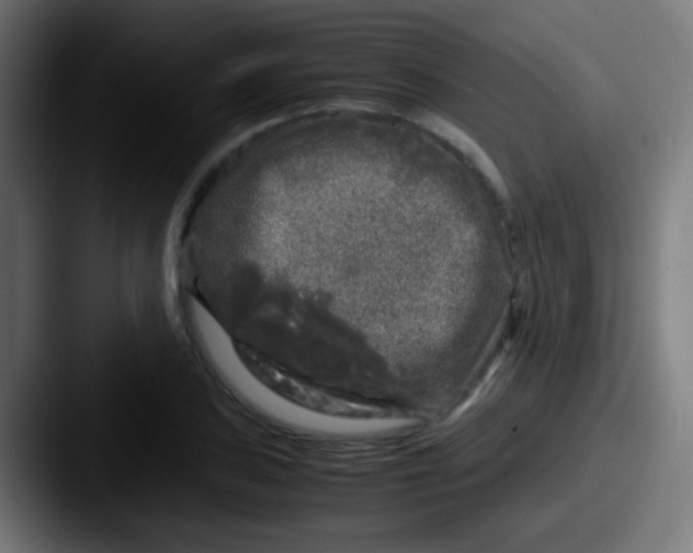 X0000087621027200705181309