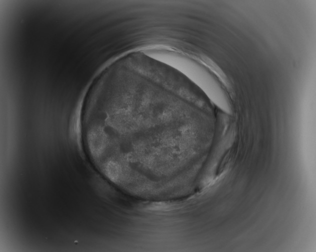X0000087621028200705181309
