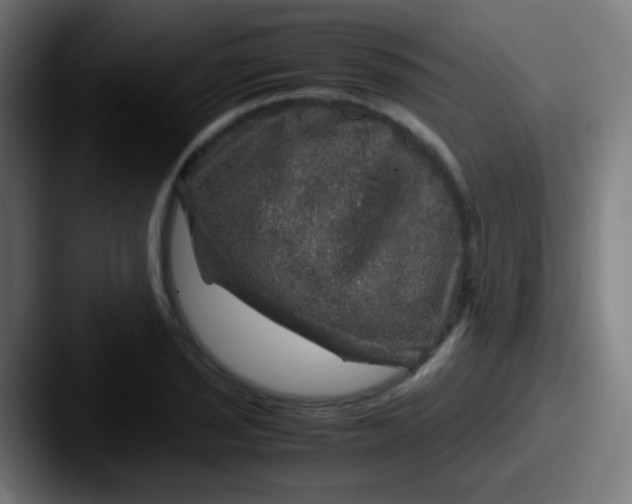 X0000087621029200705181309