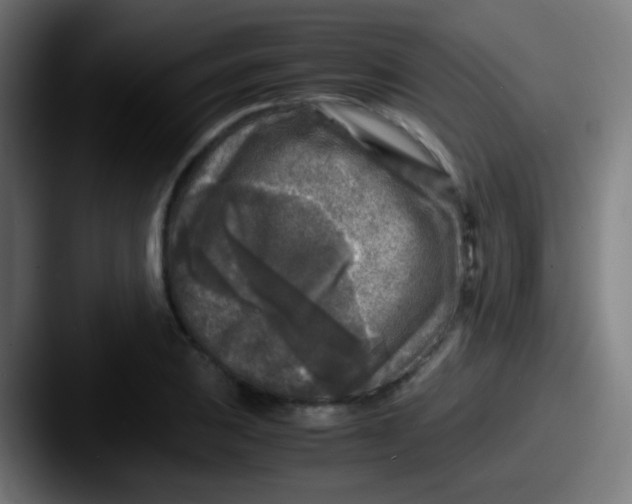 X0000087621031200705181309