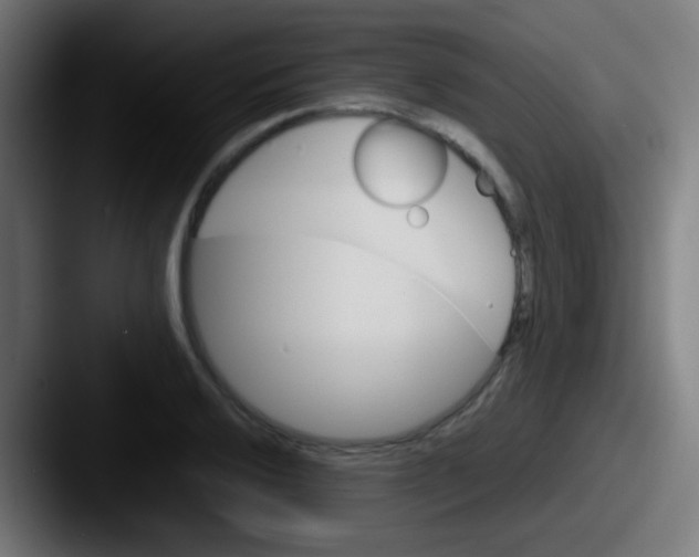 X0000087621032200705181309