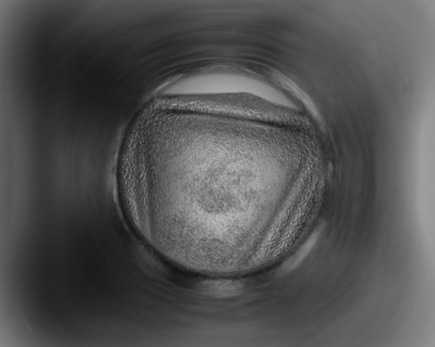 X0000087621033200705181309
