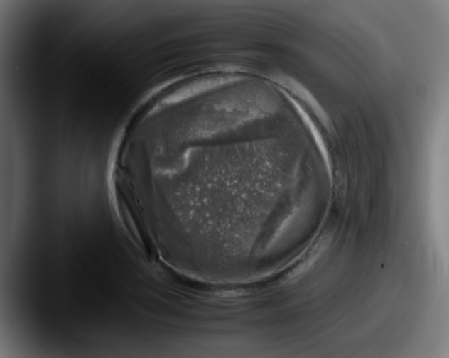 X0000087621035200705181309
