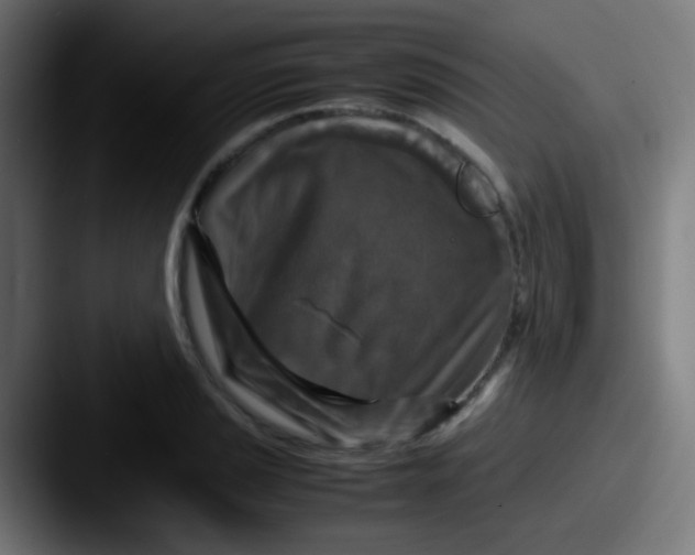 X0000087621037200705181309