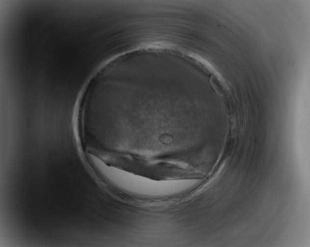 X0000087621038200705181309