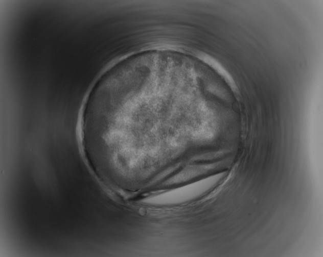 X0000087621040200705181309