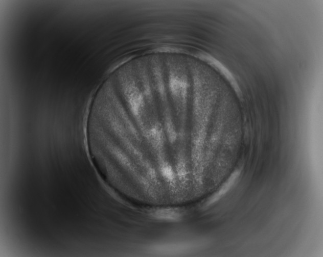 X0000087621041200705181309