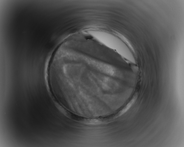 X0000087621042200705181309