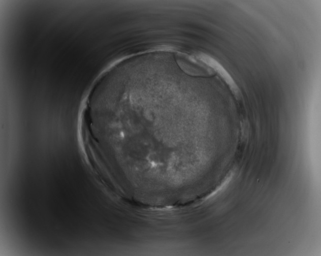 X0000087621043200705181309