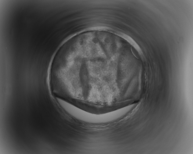 X0000087621044200705181309