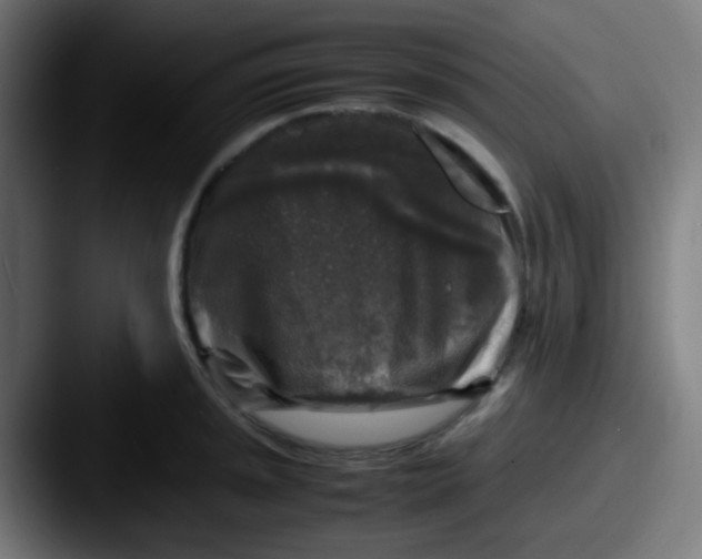 X0000087621045200705181309