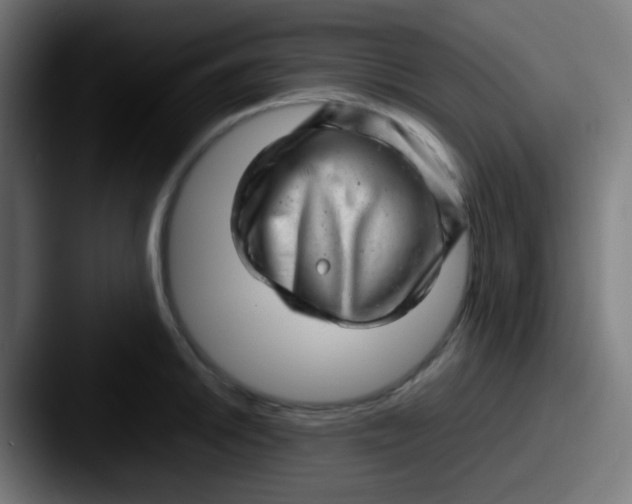 X0000087621046200705181309