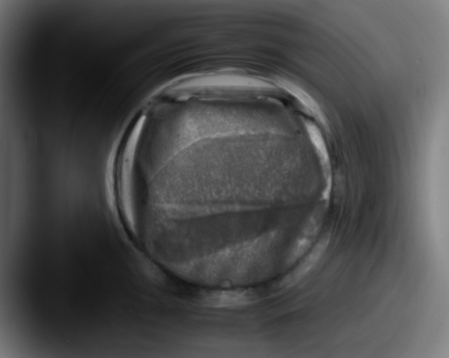 X0000087621047200705181309