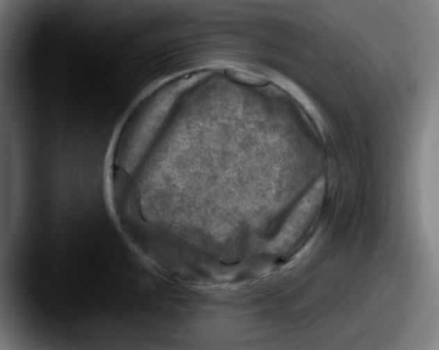X0000087621048200705181309