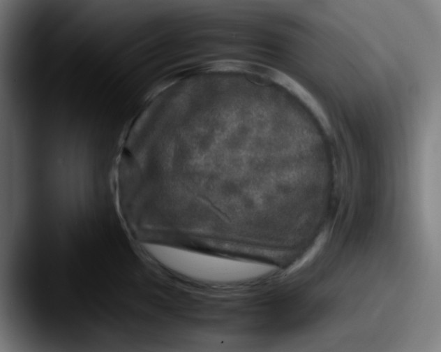 X0000087621049200705181309