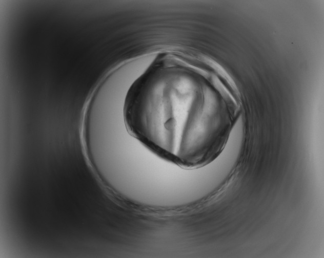 X0000087621050200705181309