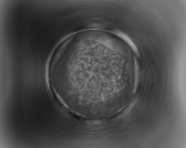 X0000087621051200705181309