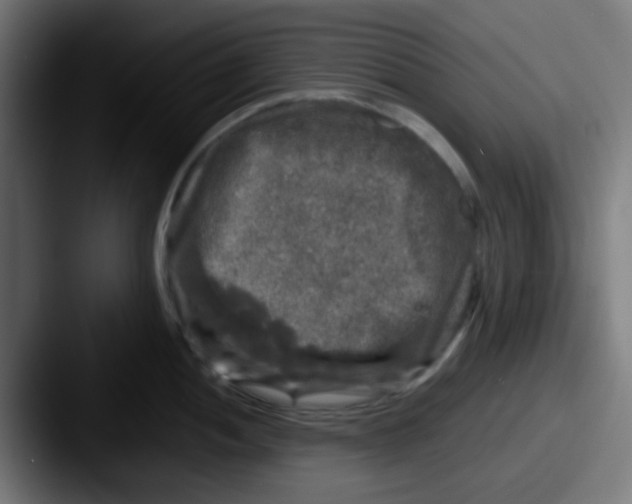 X0000087621052200705181309