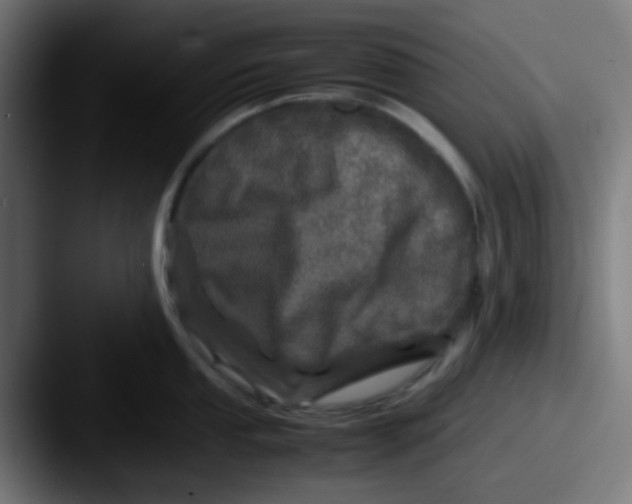 X0000087621053200705181309