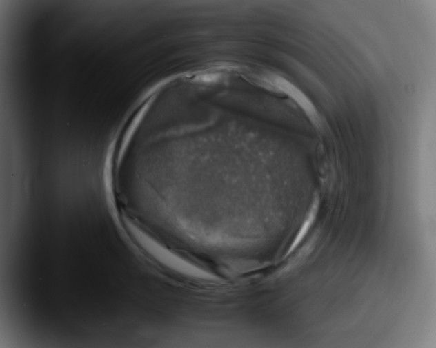 X0000087621055200705181309
