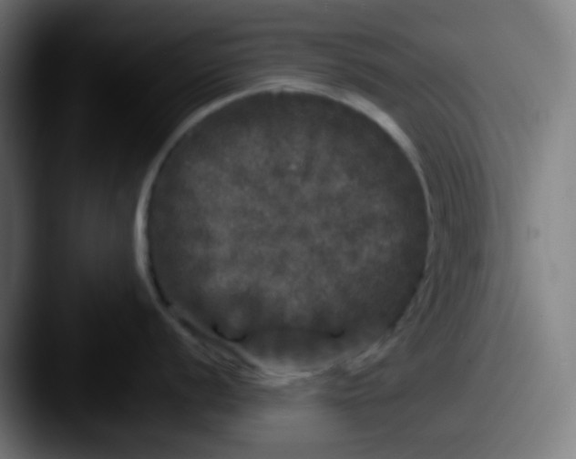 X0000087621056200705181309