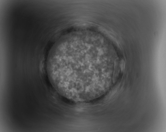 X0000087621059200705181309