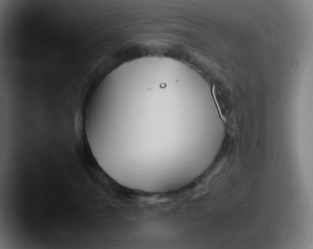 X0000087621061200705181309