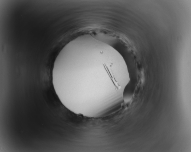 X0000087621062200705181309