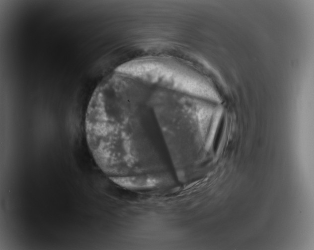 X0000087621063200705181309