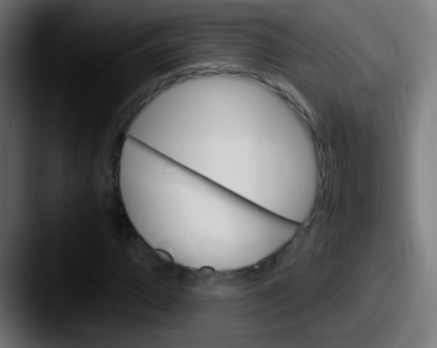 X0000087621064200705181309