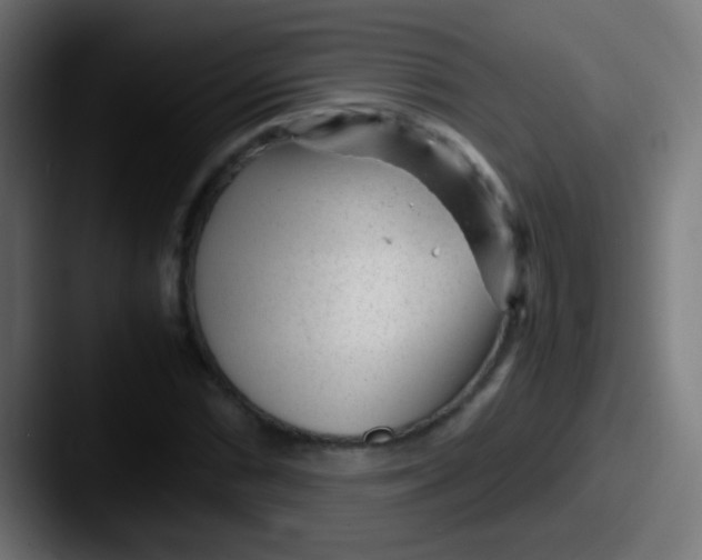 X0000087621066200705181309