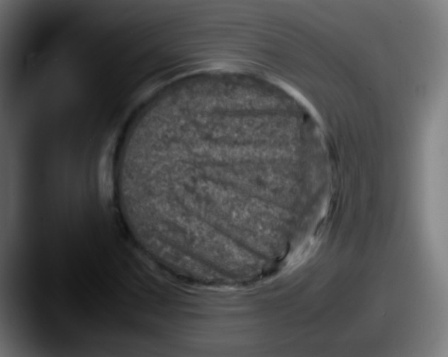 X0000087621067200705181309
