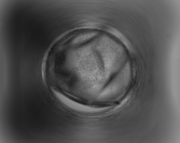 X0000087621069200705181309
