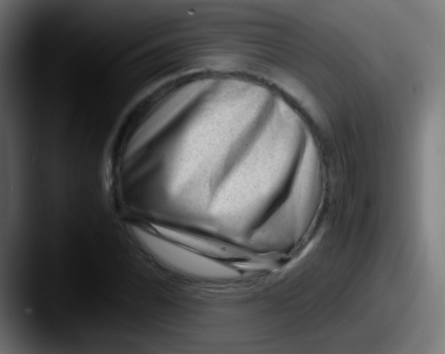 X0000087621070200705181309
