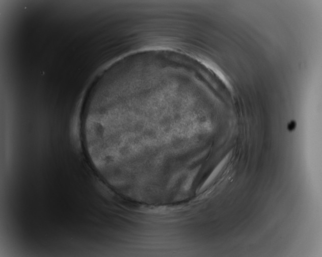 X0000087621072200705181309